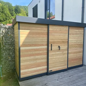 Sibirski macesen-2-small