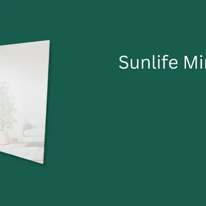 IR Pane Mirror