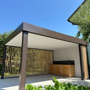 leseni brisoleji cubie