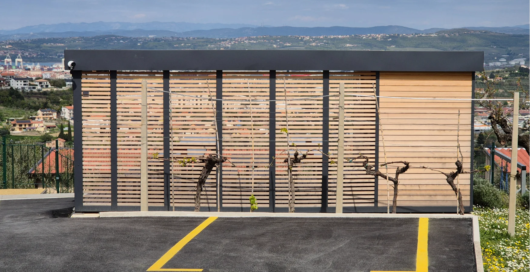 Pergola Oli